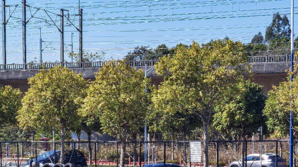 不知道怎么玩？先了解卡丁车类型，才能精准找到适合自己的类型