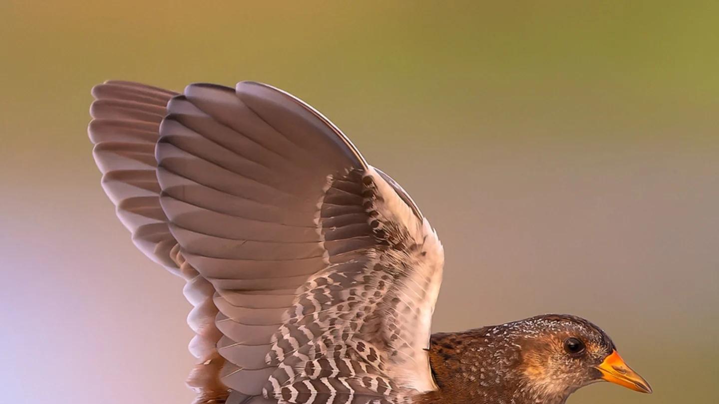 熟龄女性直言不讳：不再约会的11个真相