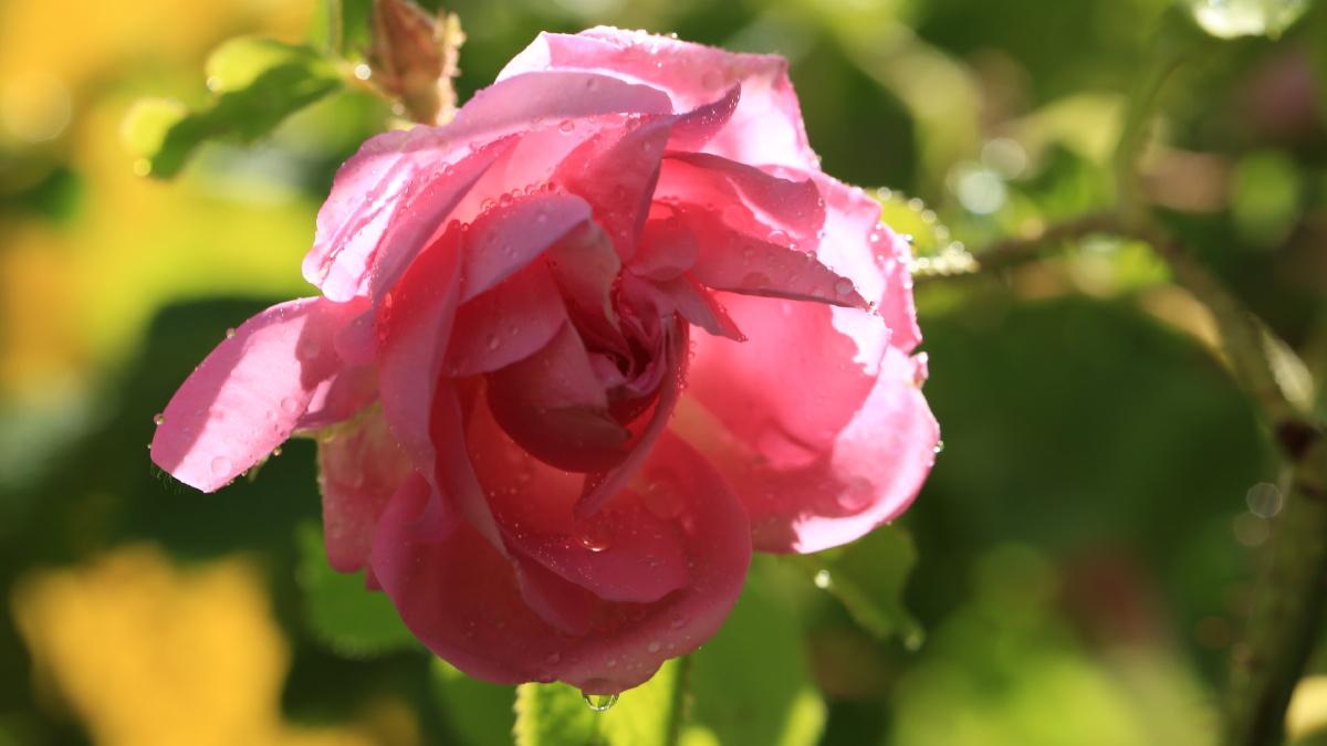 好的感情，要慢、要淡