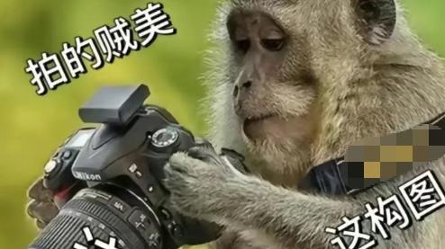 全员AI拍照全面普及！NPC跨界上岗当摄影师，真人从业者压力拉满