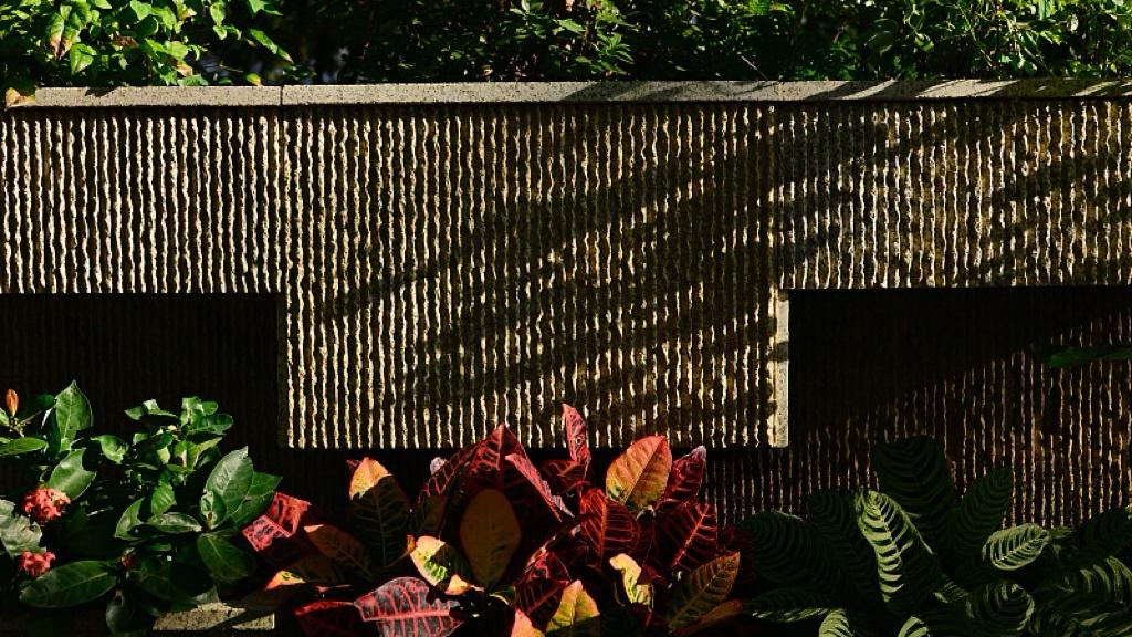 十五五开局，别再求猛药