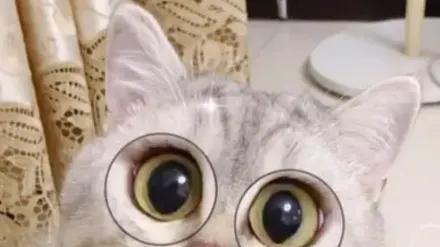 就因为低头捡手机，他把车撞成这样