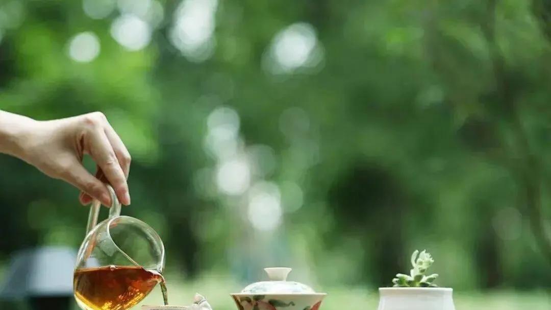 耳朵开合 | 魏琦