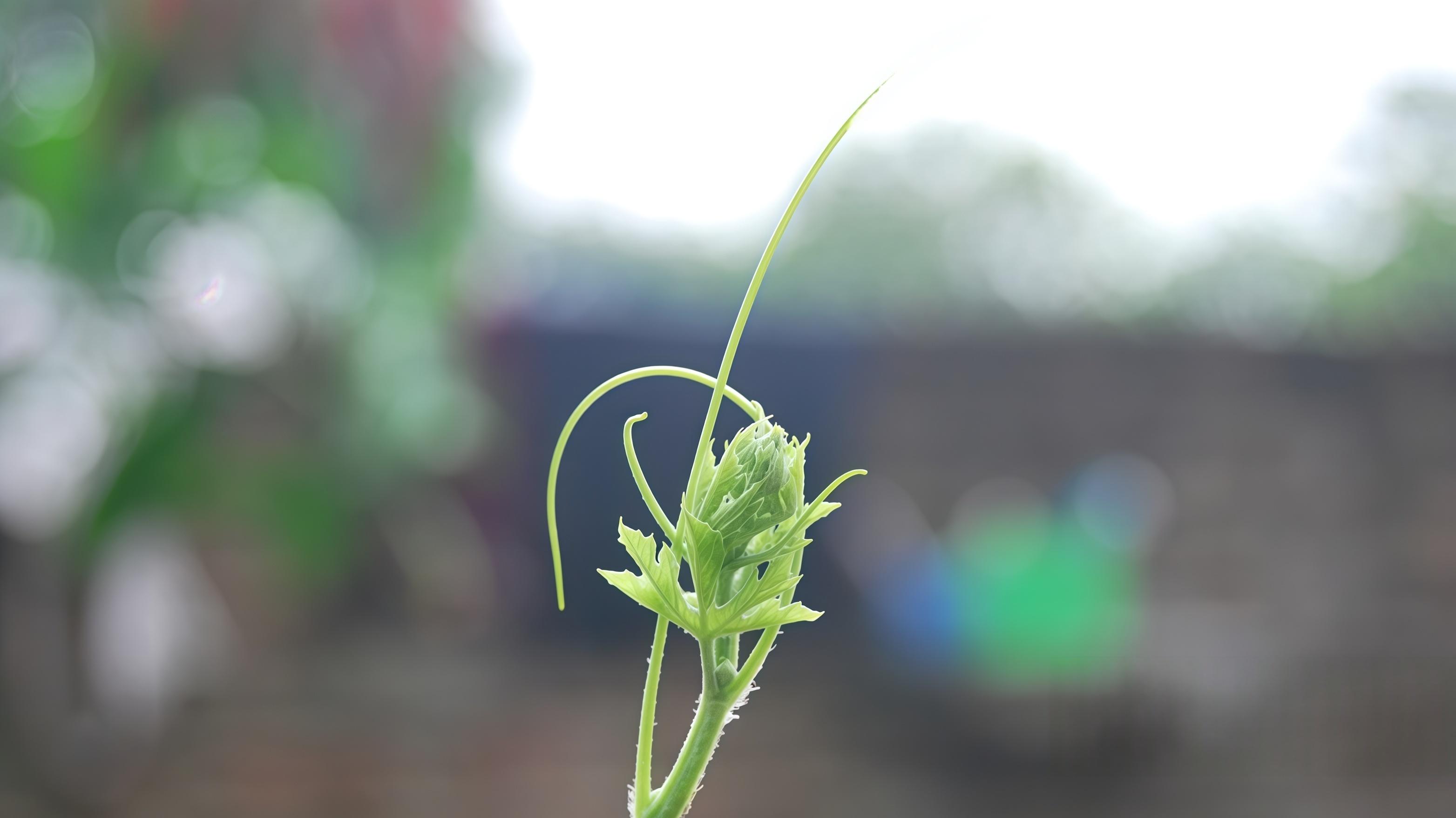 居民不借钱、企业猛加杠杆：这数据在说啥？