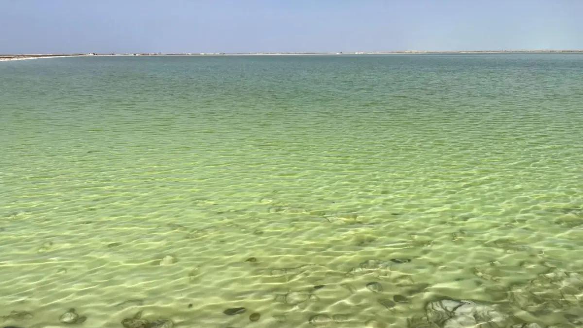 野生察尔汗盐湖（盐湖的初印象）