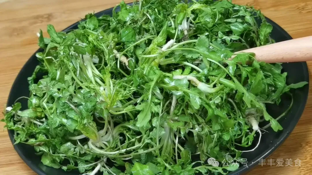 春天，宁可不吃肉也要吃这菜，教你新吃法，营养翻倍味道足