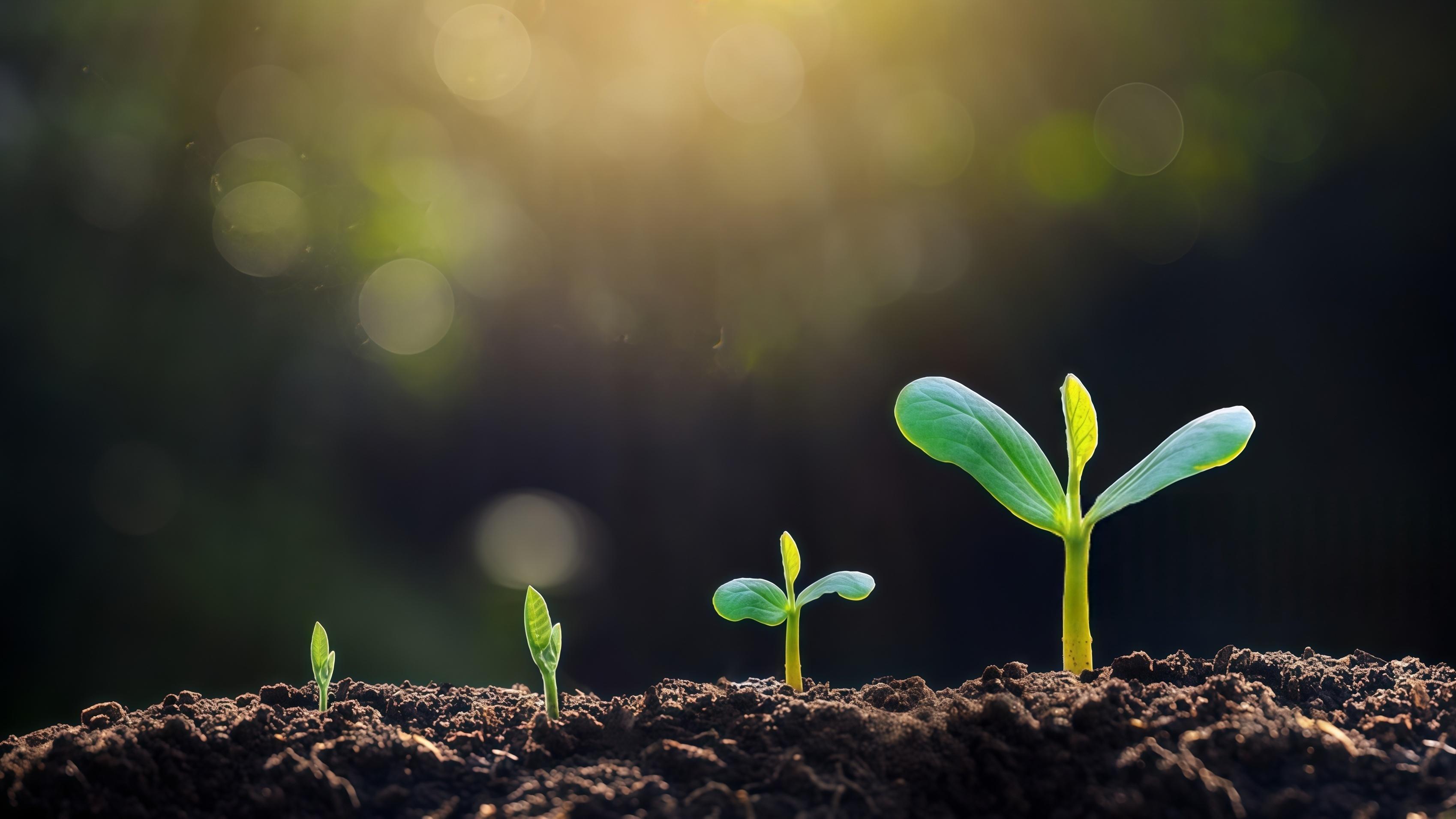 离赛博时代只差一张准考证