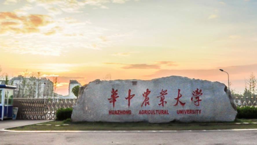华中农业大学2026年成人高等教育招生简章