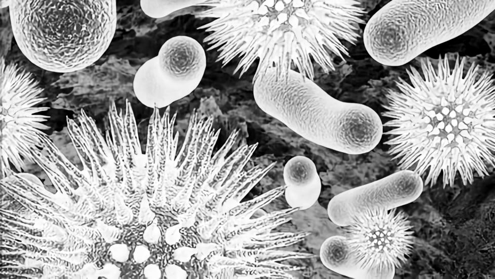 COPD老人住院染“超级细菌”离世！医院该不该赔？家属维权攻略