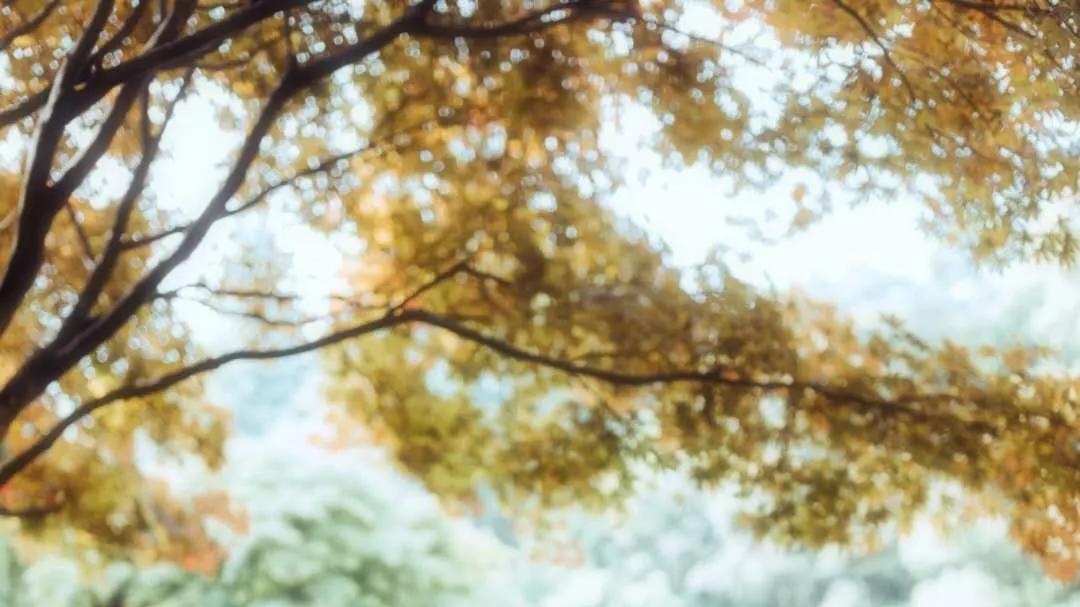 善良做人，心安一生! （精辟）