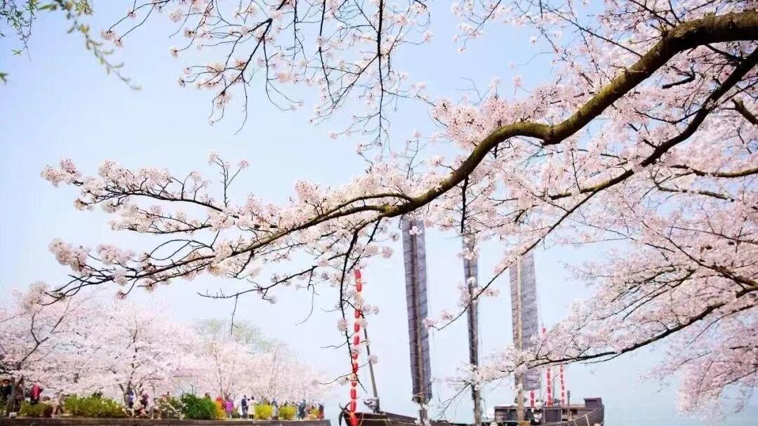 为什么要“有杀先论杀，无杀方论用”？