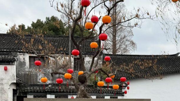 解锁周庄：从双桥到沈厅，读懂枕水江南的精髓