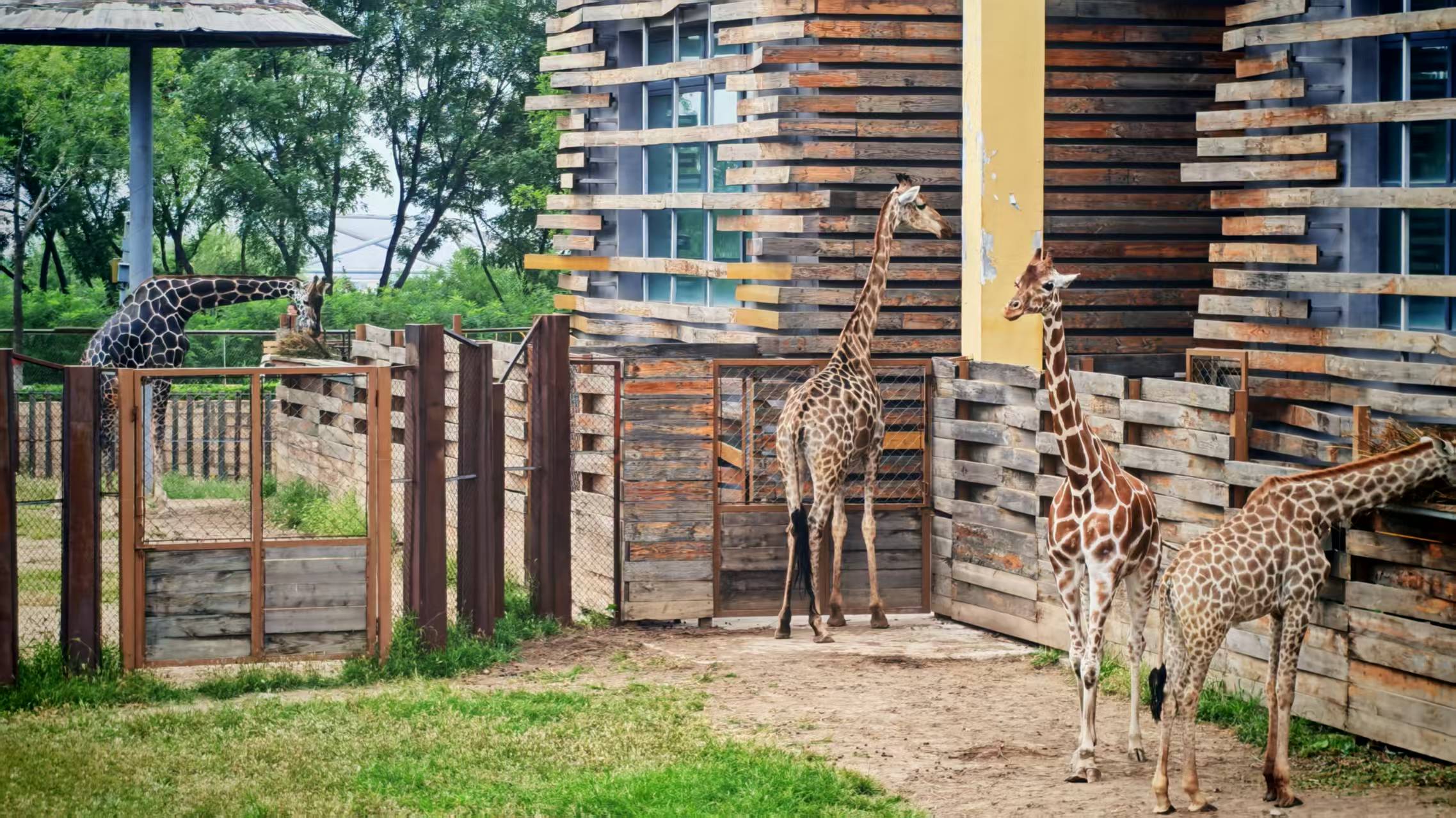 向标准答案开炮（第二十五篇）