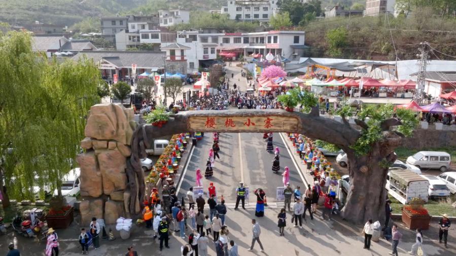 果香迎客！云南鲁甸樱桃上市 4月19日开启农文旅融合盛宴