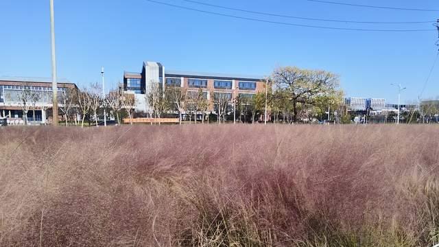 家长怎么去帮助厌学的孩子，这三点很重要