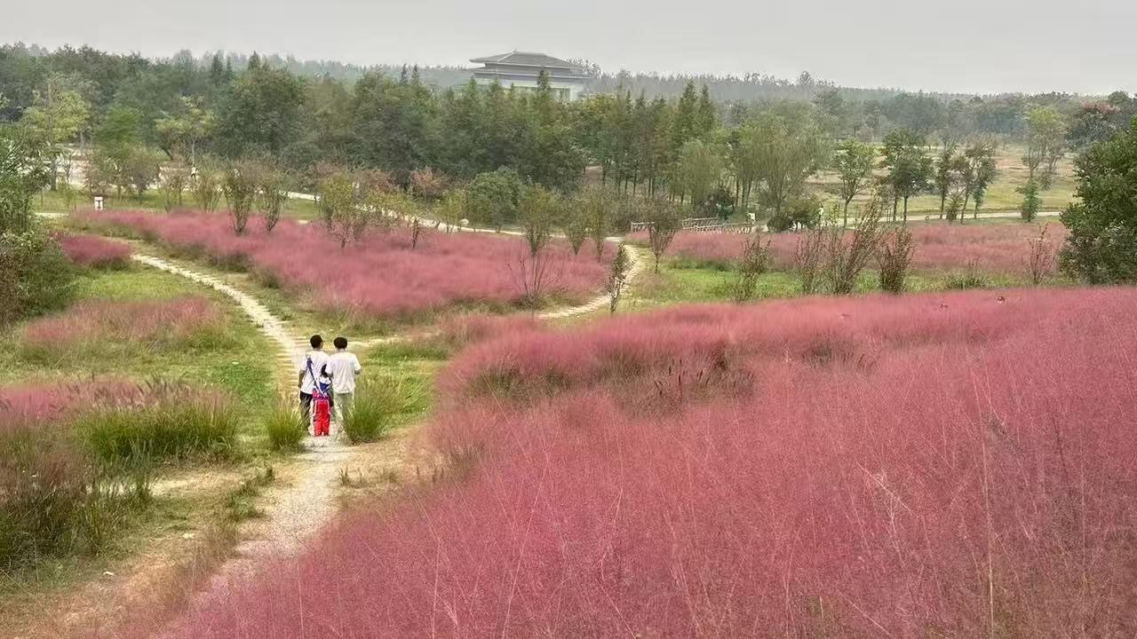 现今社会里，还有人劝酒吗，反正我是不敢了