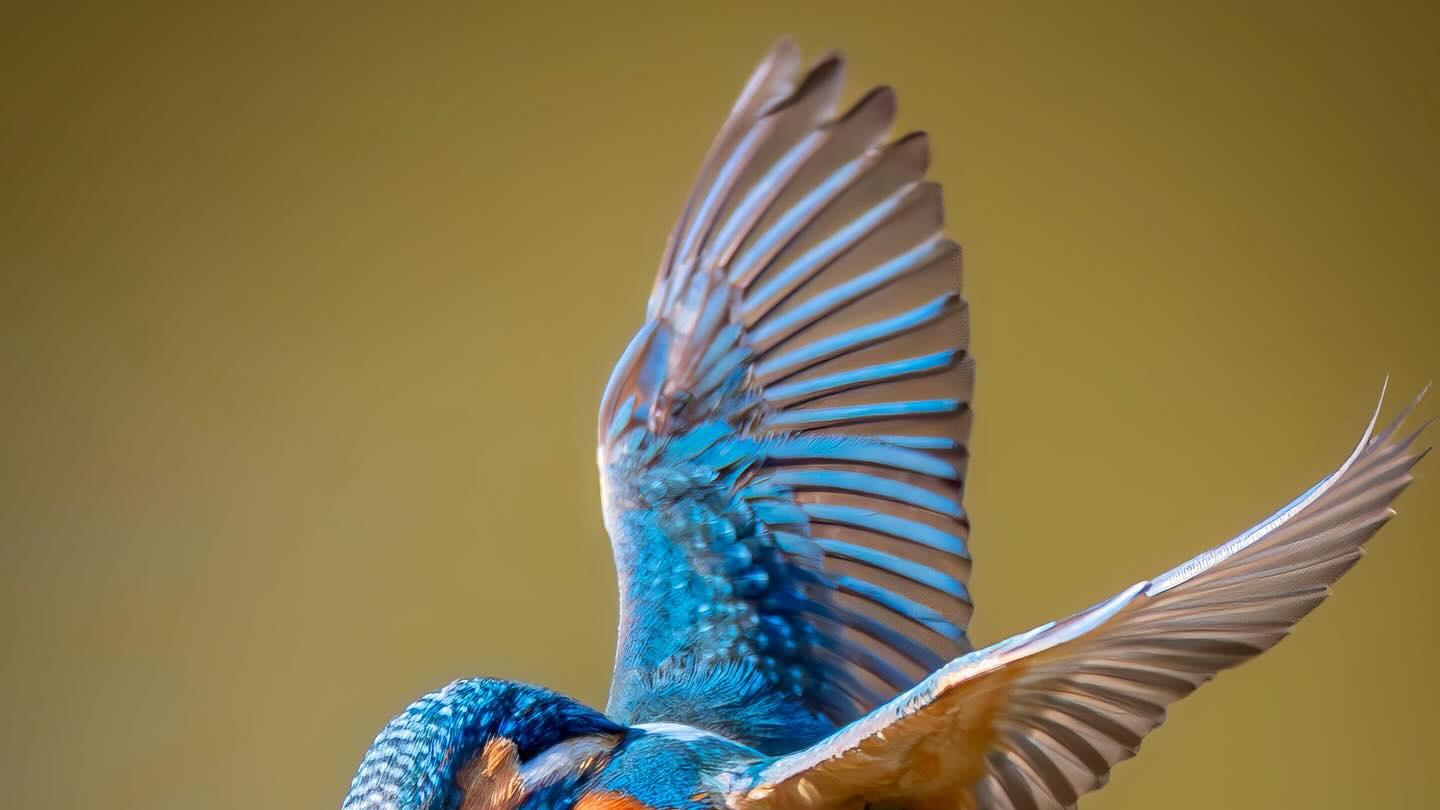 不起眼的微习惯，悄悄让你成为优秀领导者