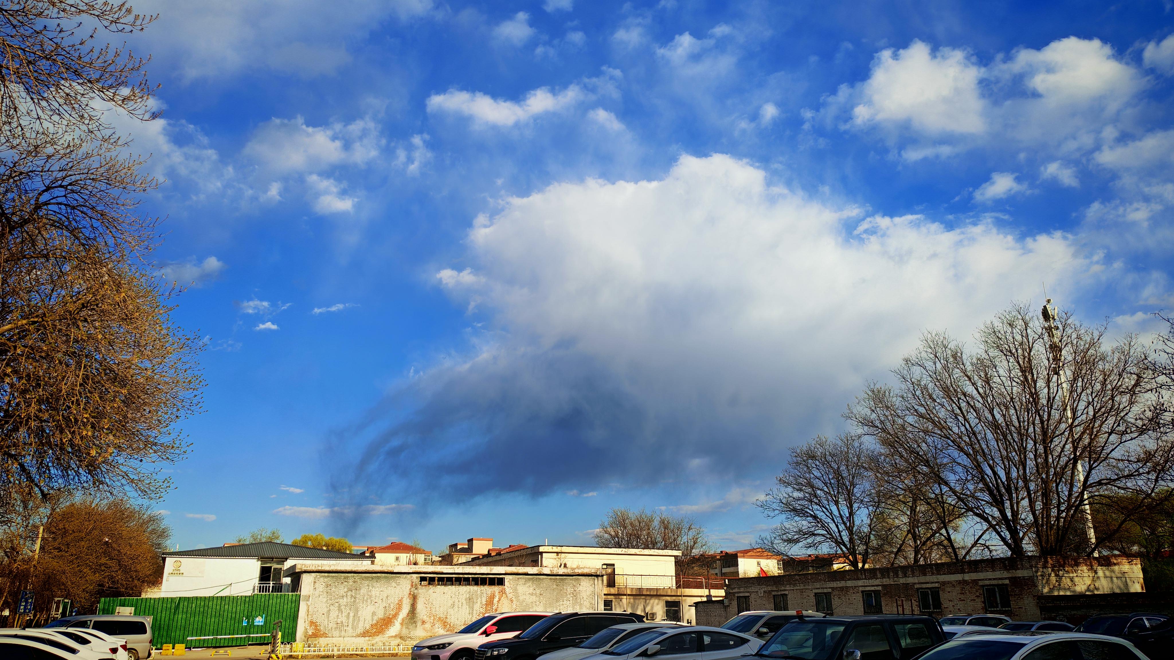 语言的熵增：讲管理系统中的模糊指令与责任逃逸(第二十七篇)