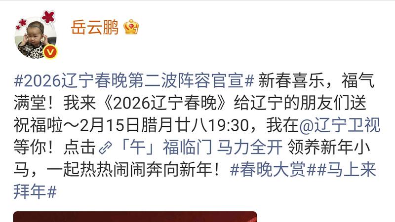 登不上央视春晚，岳云鹏官宣参加辽视春晚，他的经典梗有哪些？