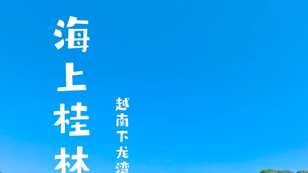 共赴新程，智启华章｜看看宇宙2026年度工作部署会暨崇高健康大舞台2025赣州百姓春晚颁奖盛典在越南