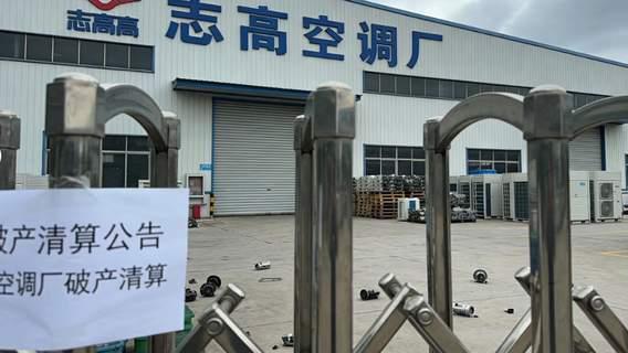 志高破产，“空调大王”需要一份00后消费指南