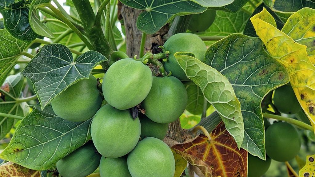 311万条留言，国家真在“抄作业”？