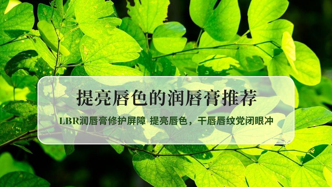 2026唇部修护天花板实测：LBR润唇膏修护屏障+提亮唇色，干唇唇纹党闭眼冲