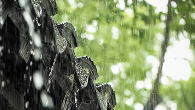 山西卸任村支书开铲车埋村民事件，揭露田园梦想多不现实！