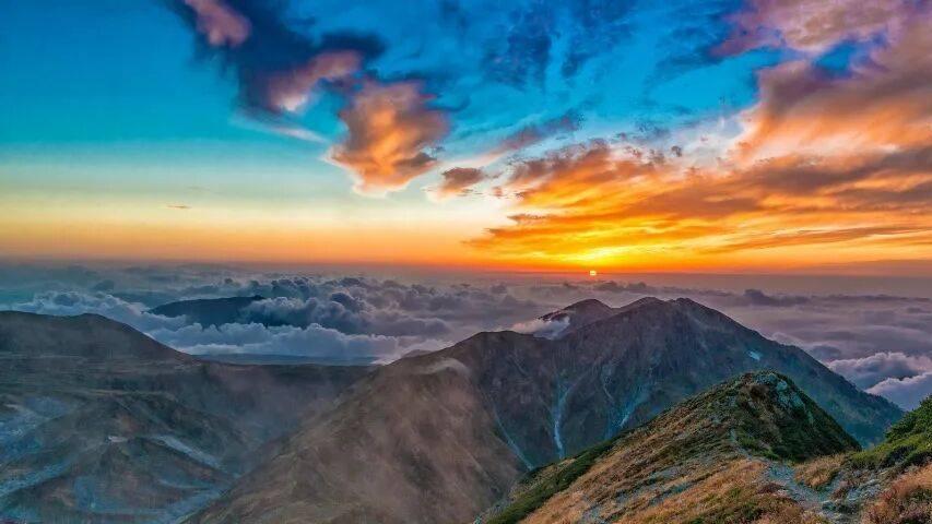 博世西门子家电中国市场营收连跌四年