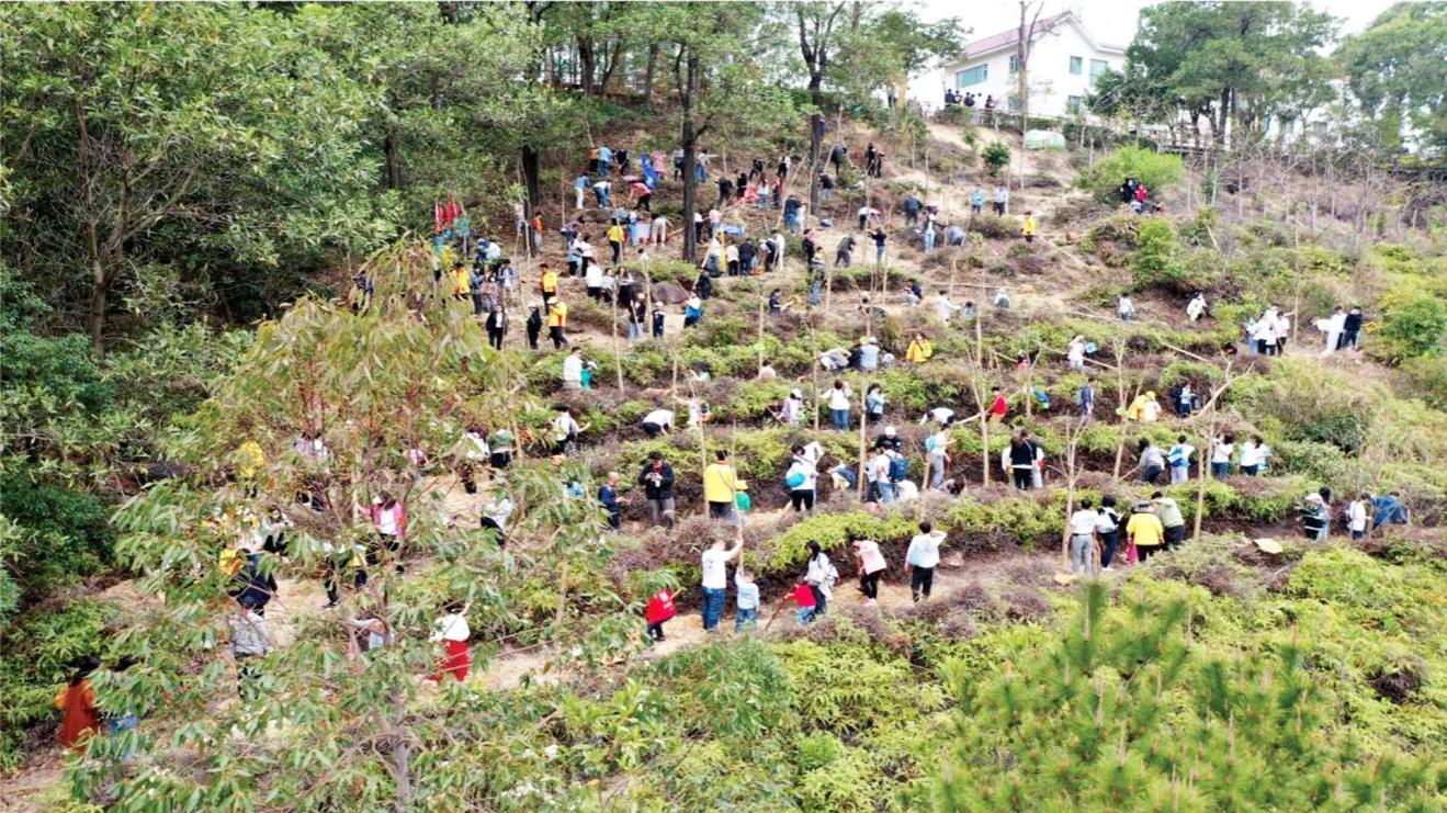 东莞观音山以福利暖民心、以勇气破困局
