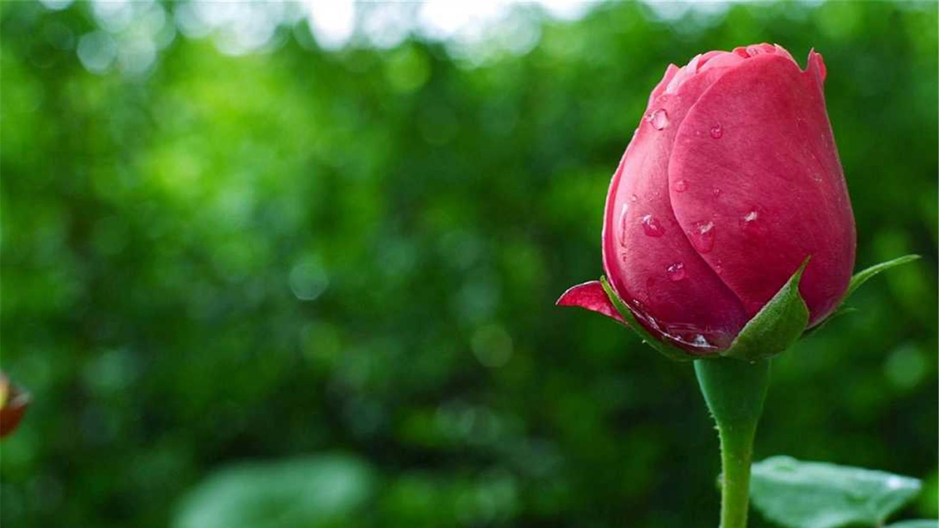 在农村，单身的姑娘过的真叫舒心啊！