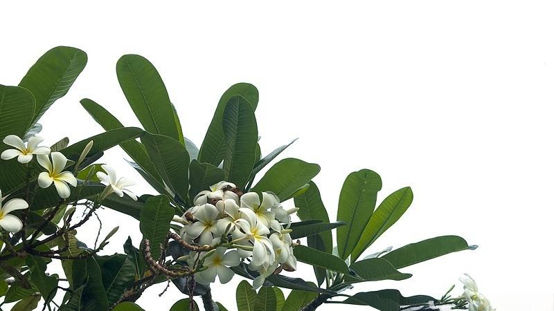 奢侈品正在“分裂”，但不是降级