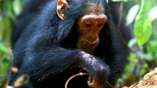 工具的六层含义