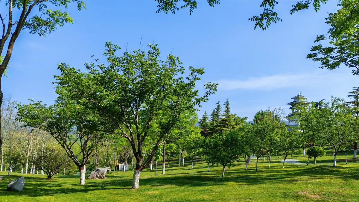 坦然接受人生的缺陷