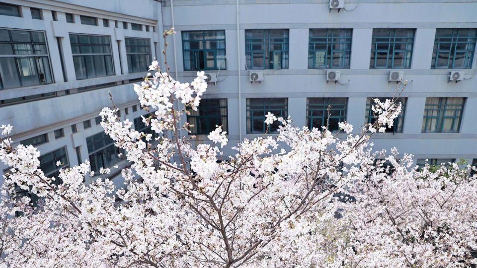 财经热来袭，中南财经政法大学就业好不好？学生推免进清北！