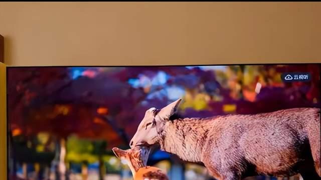 高端电视隐藏实力曝光！TCL RGB LED 85C11L与海信U7S Pro黑科技来了