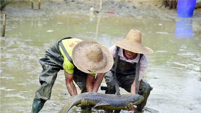 佛山紫南芳华谷清明焕新开放，七大主题板块亮相，打造湾区微度假目的地