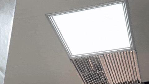 还没住进新家，鸟儿、老鼠却先住进来了！这个细节90%的人没注意