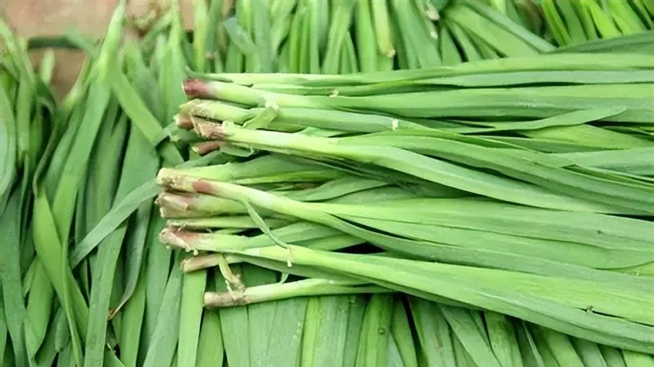 过年买菜有门道！聪明人都会避开这4种“高危菜”，菜贩子都不买