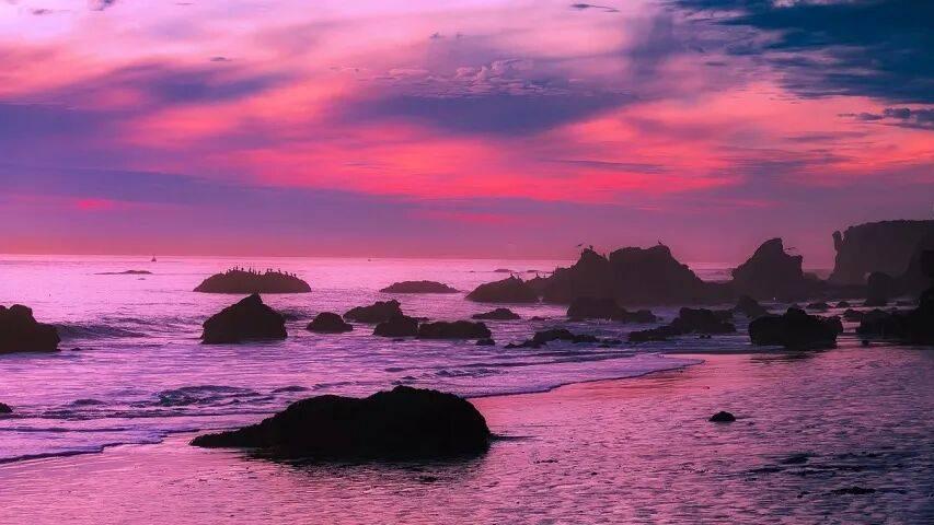 2026家电市场开局有三个“没想到”