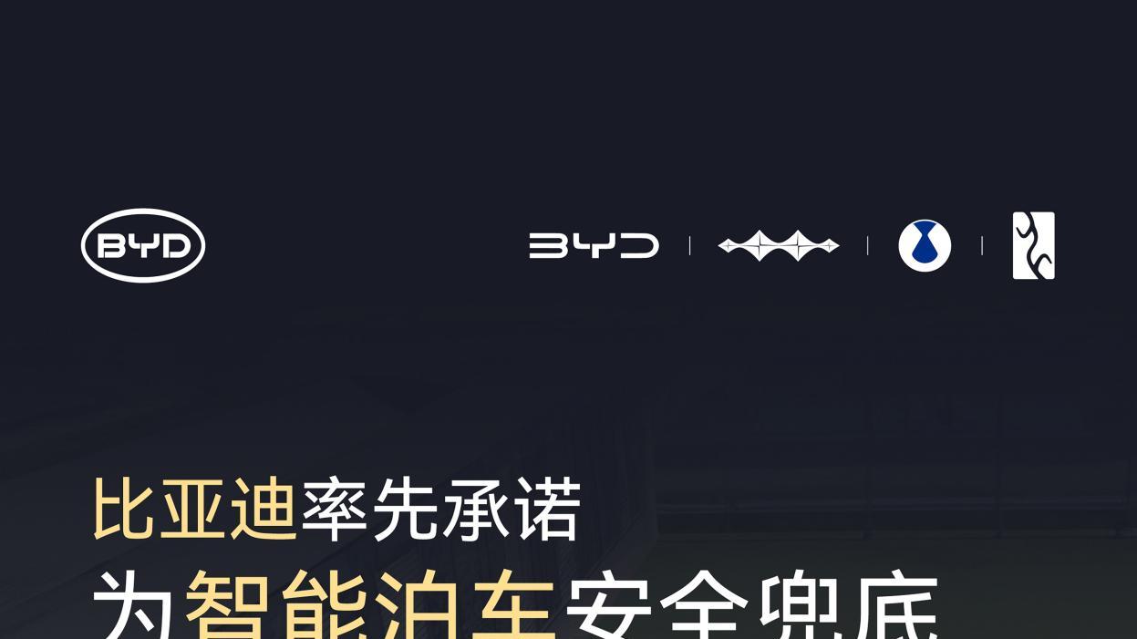 比亚迪宣布为辅助驾驶兜底，为何没有人跟进？