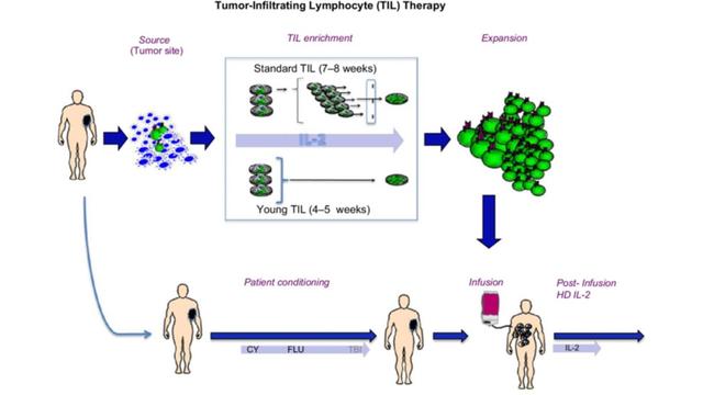 中国力量闪耀AACR！国产TIL疗法数据全面超越美国首款产品，100%控制率带来全新生命曙光