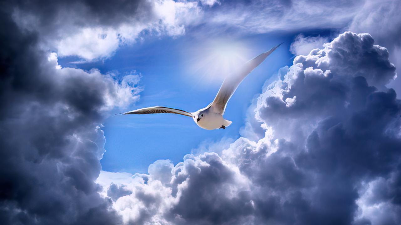 2026国考省级申论第四题，题简单，高分少