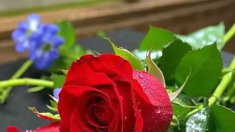 退休教师，偷偷和隔壁老王买菜二十年，没人提结婚俩字。