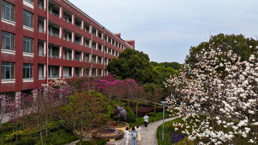 理科生看过来！上海杉达学院这条“工科快车道”，推荐报考！