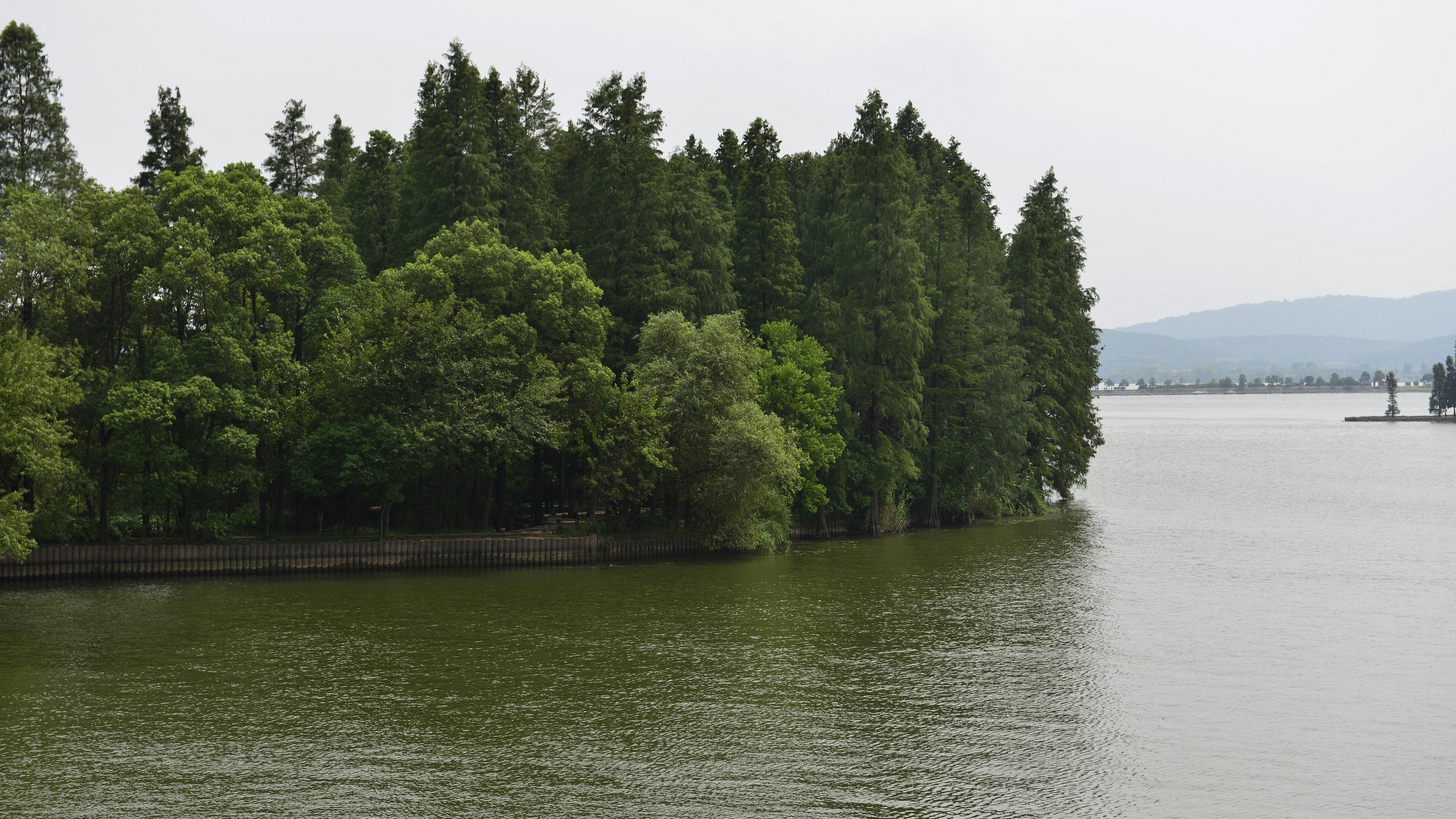 为什么拖你后腿的，往往是最熟的人？