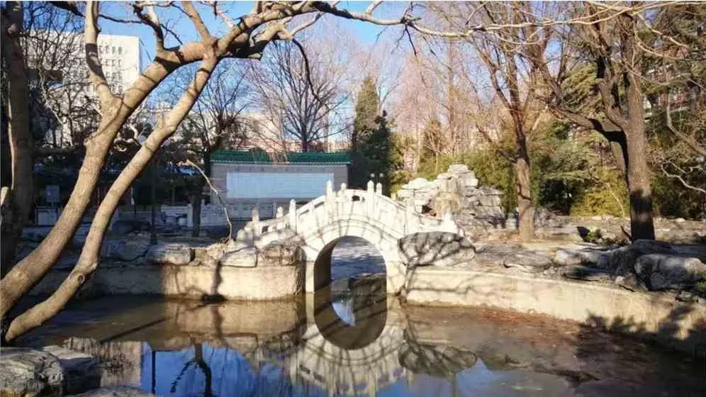 北京中外合作办学选哪个？实力、资源双加持——北京语言大学