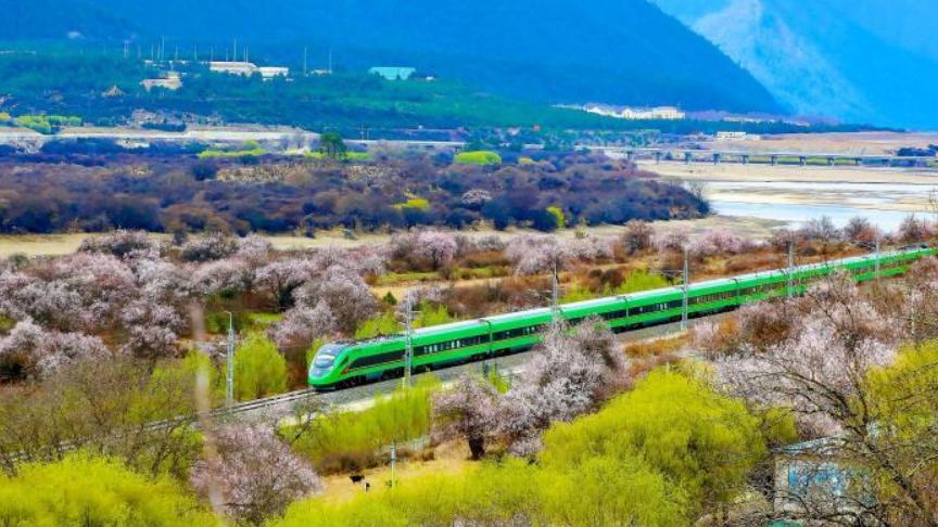 西藏拉林铁路开通运营以来运送旅客575万人次