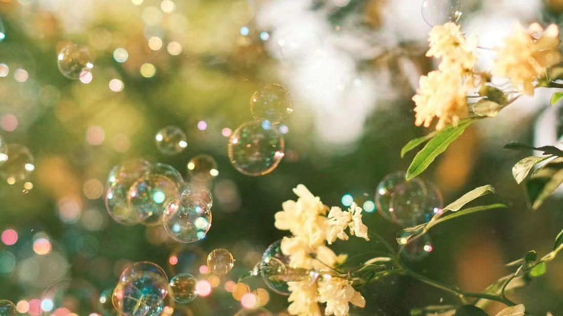 离婚后我只想招个养眼秘书，他却想娶我