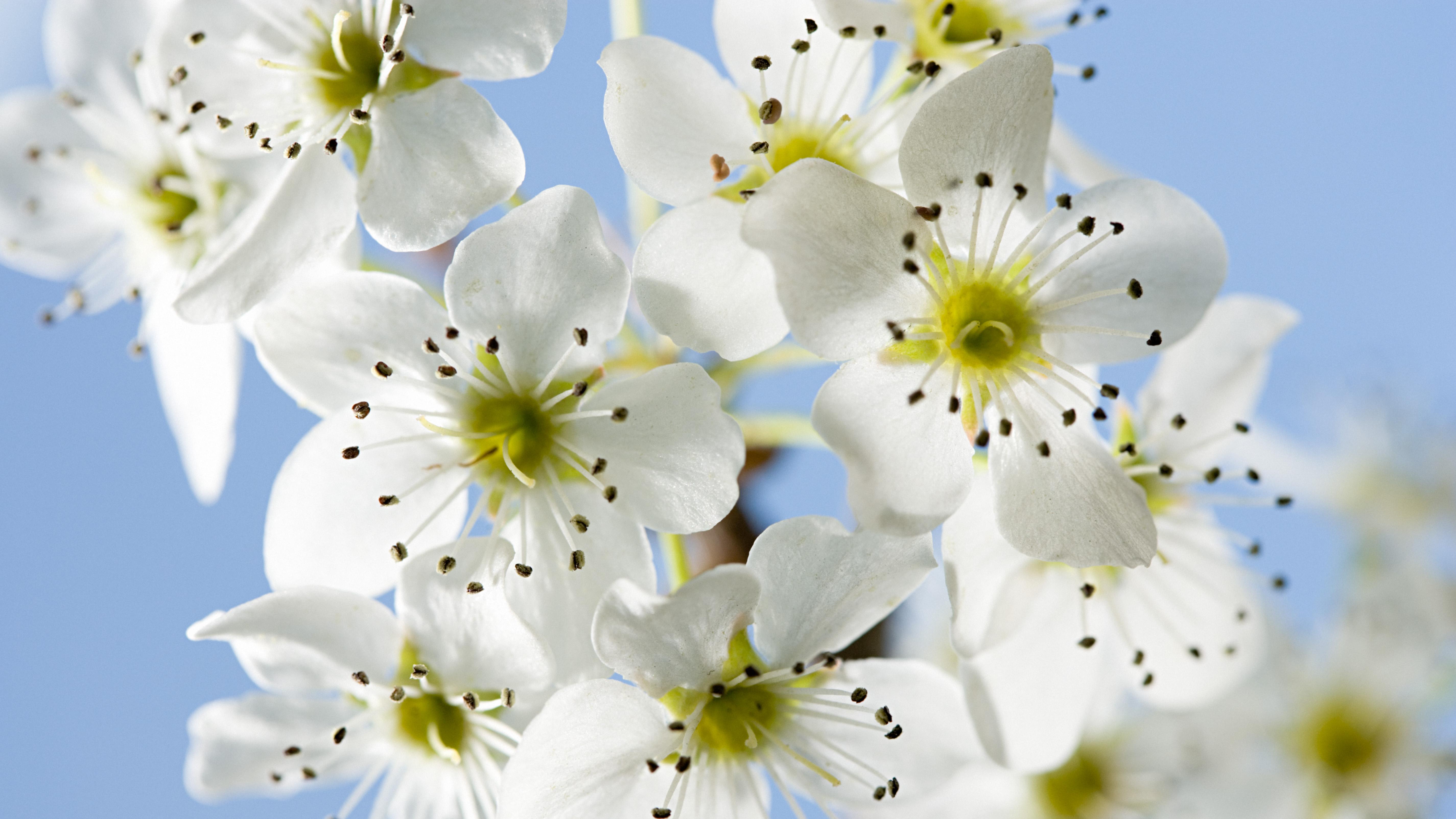 别慌，你正在被“重新分层”